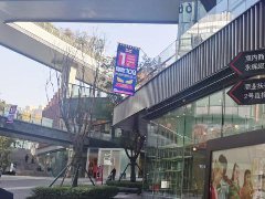 烈火烹油的鄉(xiāng)村民宿，何時回歸行業(yè)本質(zhì)？