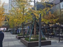 百年舊存量也能“起死回生”，從舊廠房變身“城市地標(biāo)”？