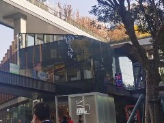 創業項目融資商業計劃書模板