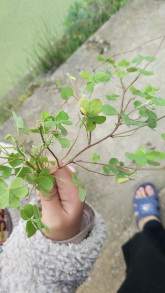 七個要點，解析產品需求分析