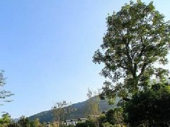 商業保持“活力”的秘密，引導消費的景觀設計&#8203;如何打造？&#8203;