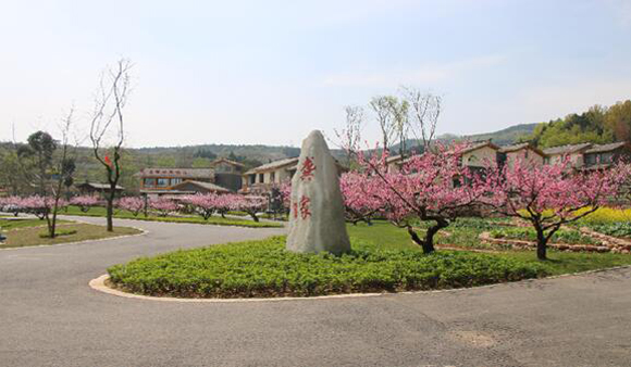 成都金堂破局特色小鎮(zhèn)建設(shè)打造鄉(xiāng)村振興新示范
