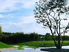 合作項目股權退出，分歧點解決方案分享——貨值篇
