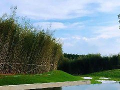 文旅產業下一步要如何發展？