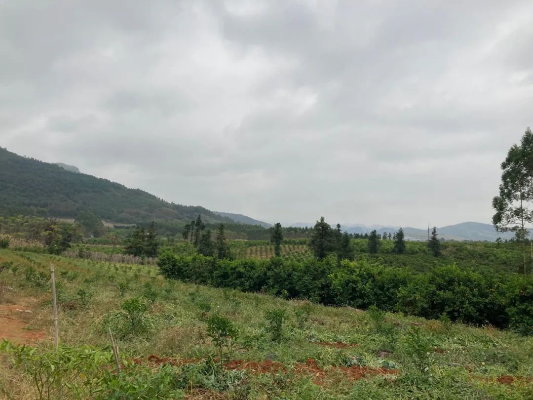 桂林：旅游城市不是哪一塊地都能做旅游地產