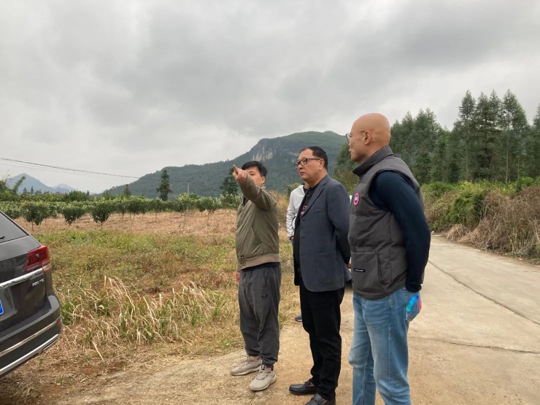 桂林：旅游城市不是哪一塊地都能做旅游地產