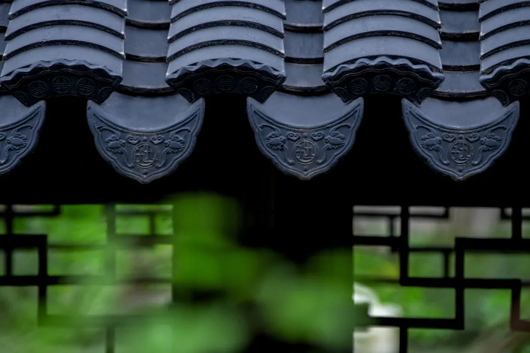 ڄϵġoǺӡ
