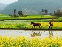 疫情后文旅業發展的建議