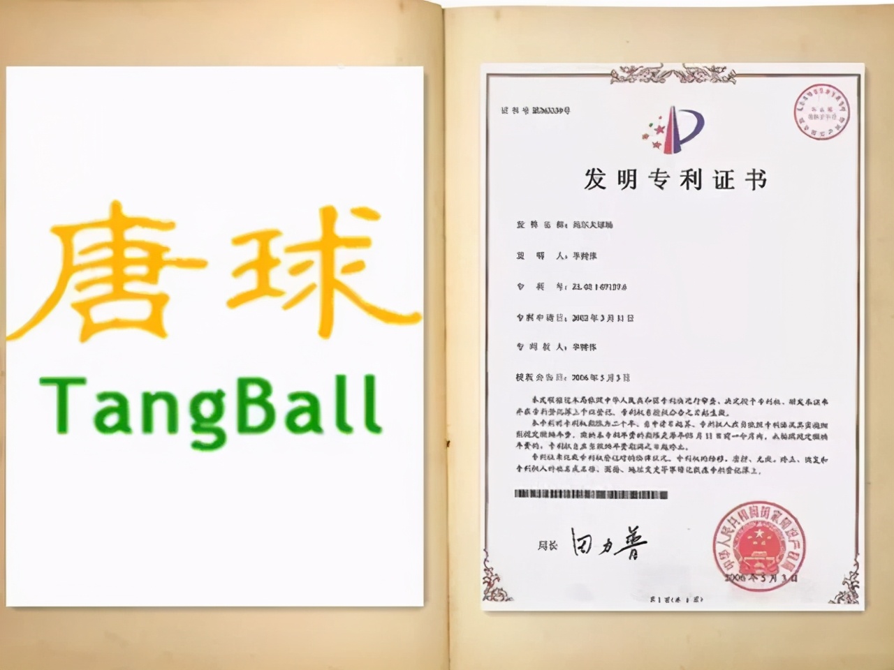 國情之下孕育出的這個體育地產(chǎn)新物種，竟可一地三用