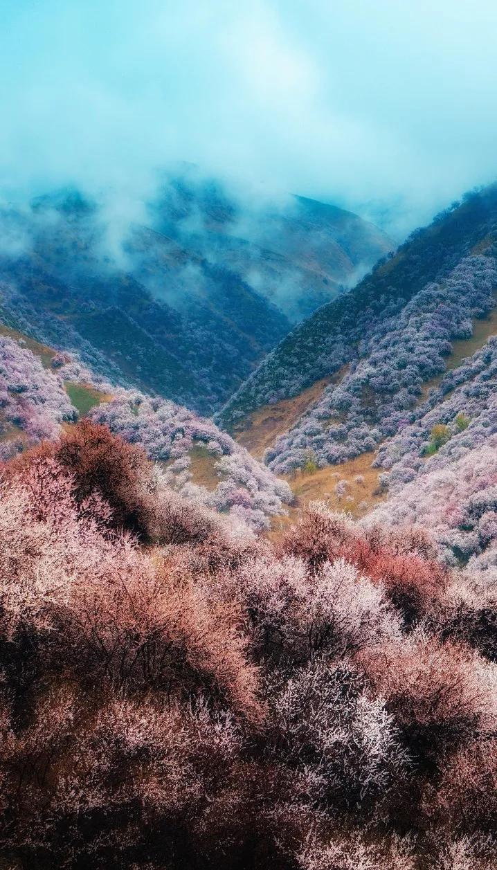 這里有張“國家級旅游度假區(qū)名錄”,極致山河你去過幾個?