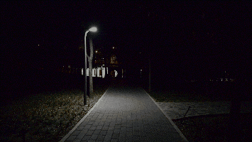 城市有機更新中智慧園林的應用