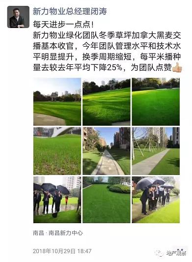 一個有生命力的社區該是什么樣？