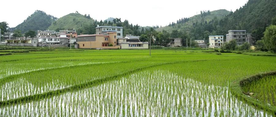 新型城鎮化建設中的重點與難點