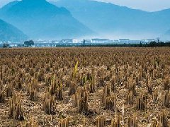 中國下一輪城市化的核心抓手在哪里？