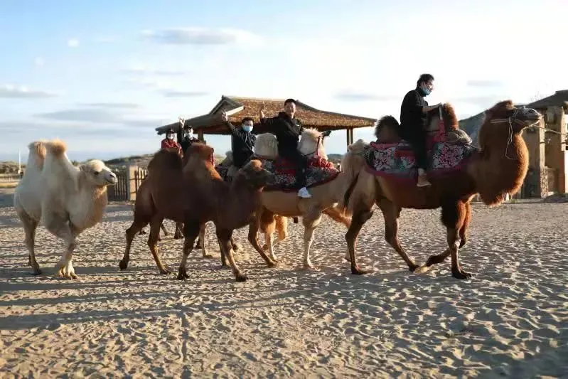 旅游IP時(shí)代開啟，“Z世代”新旅游消費(fèi)群體已崛起