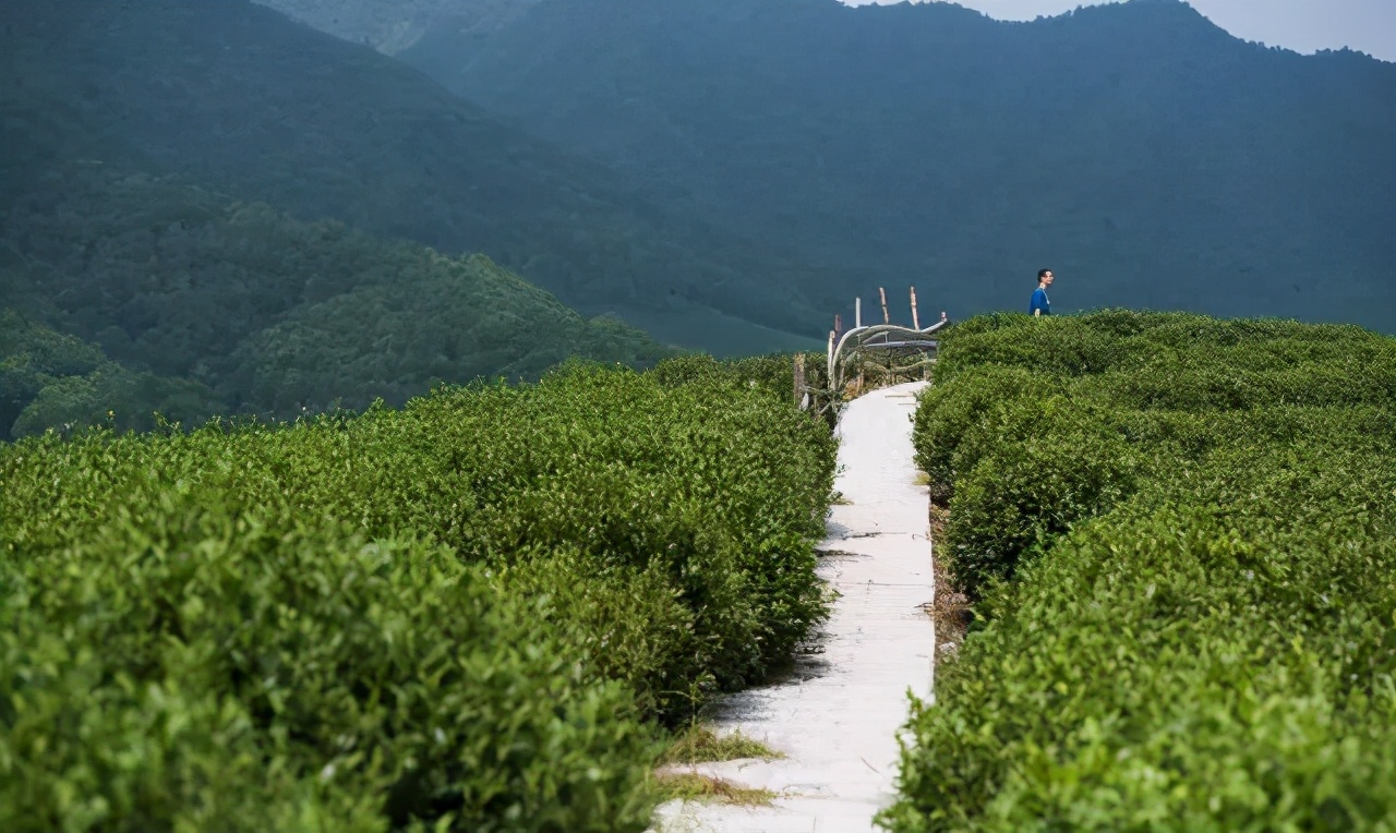 知名文化旅游小鎮(zhèn)開發(fā)模式分析