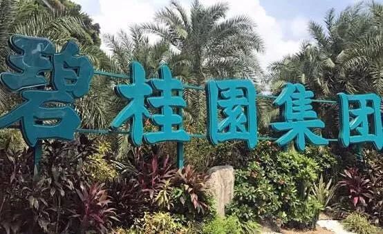 碧桂園：明年開(kāi)始，全面實(shí)現(xiàn)機(jī)器人建房