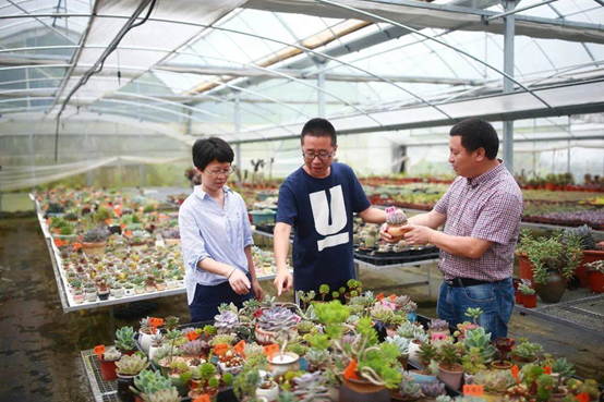 從休閑農(nóng)業(yè)看鄉(xiāng)村振興的浙江模式