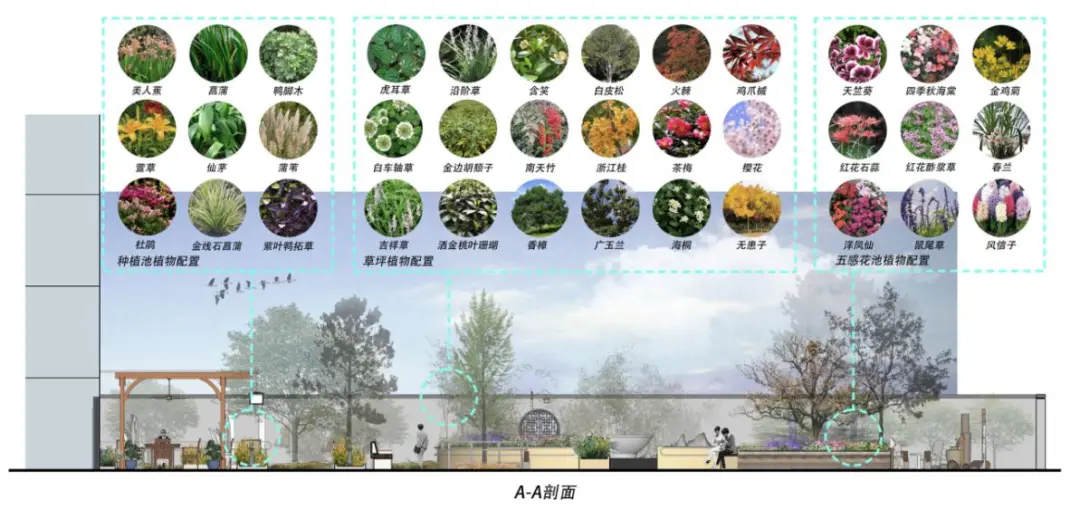康復景觀設計如何滿足老年人的康養需求?