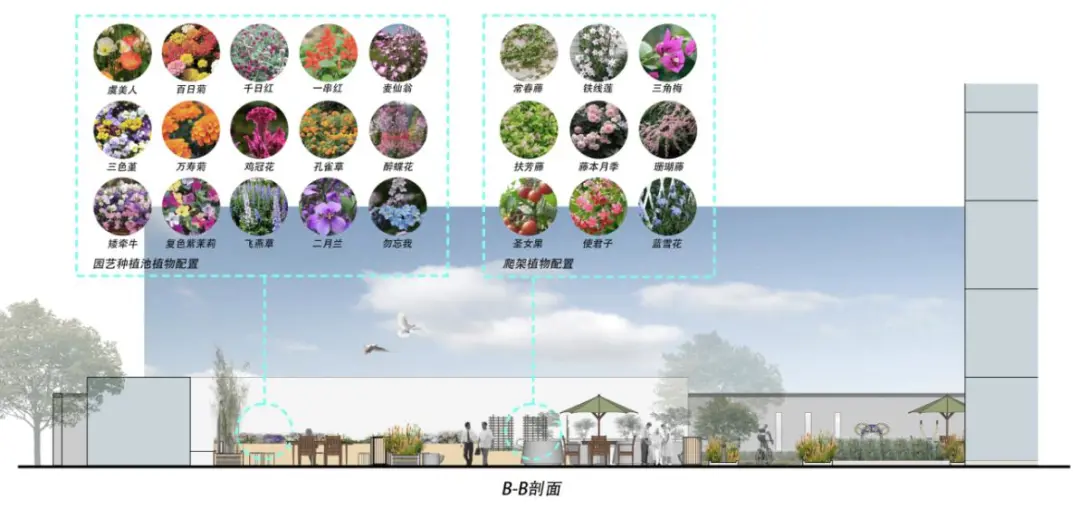 康復景觀設計如何滿足老年人的康養需求?