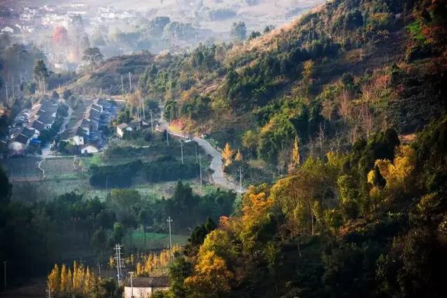 沉浸街區、科技秀場......起底一個逆勢爆紅景區的大戰略
